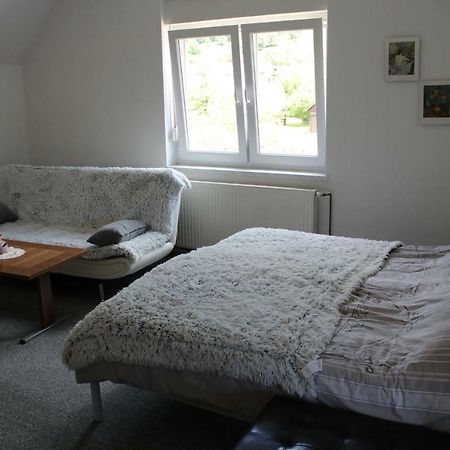 R&G Apartment Zirovnica Luaran gambar