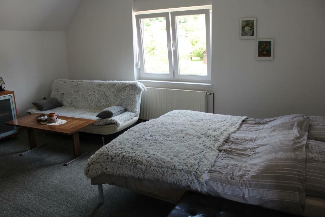 R&G Apartment Zirovnica Luaran gambar