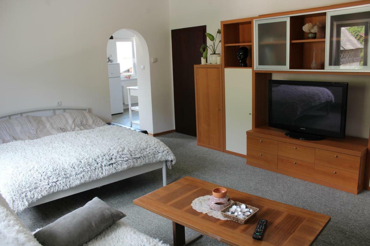 R&G Apartment Zirovnica Luaran gambar